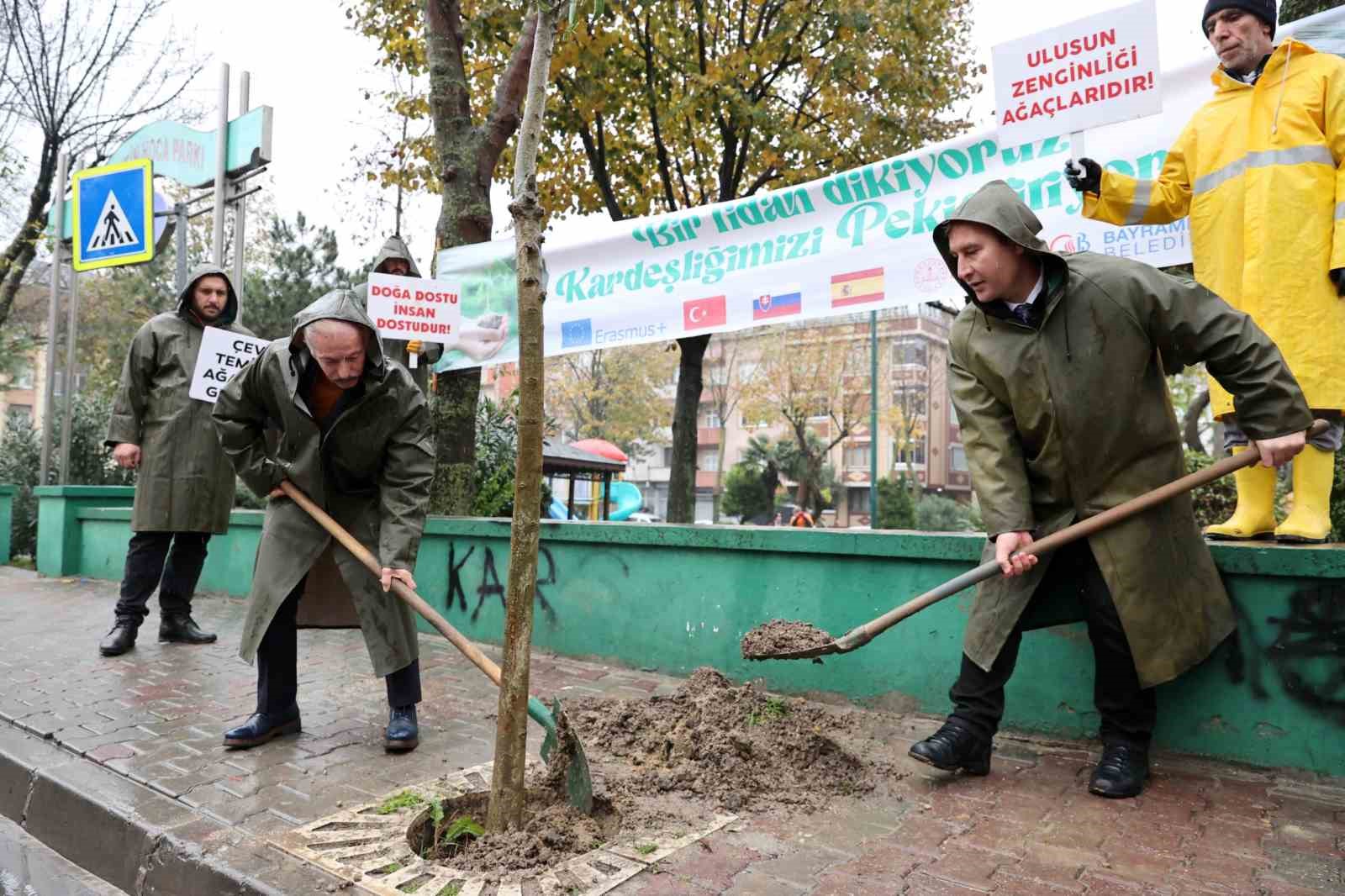 Bayrampaşa’da Cumhuriyetin 100’üncü yılına özel 2023 fidan dikilmeye devam ediliyor