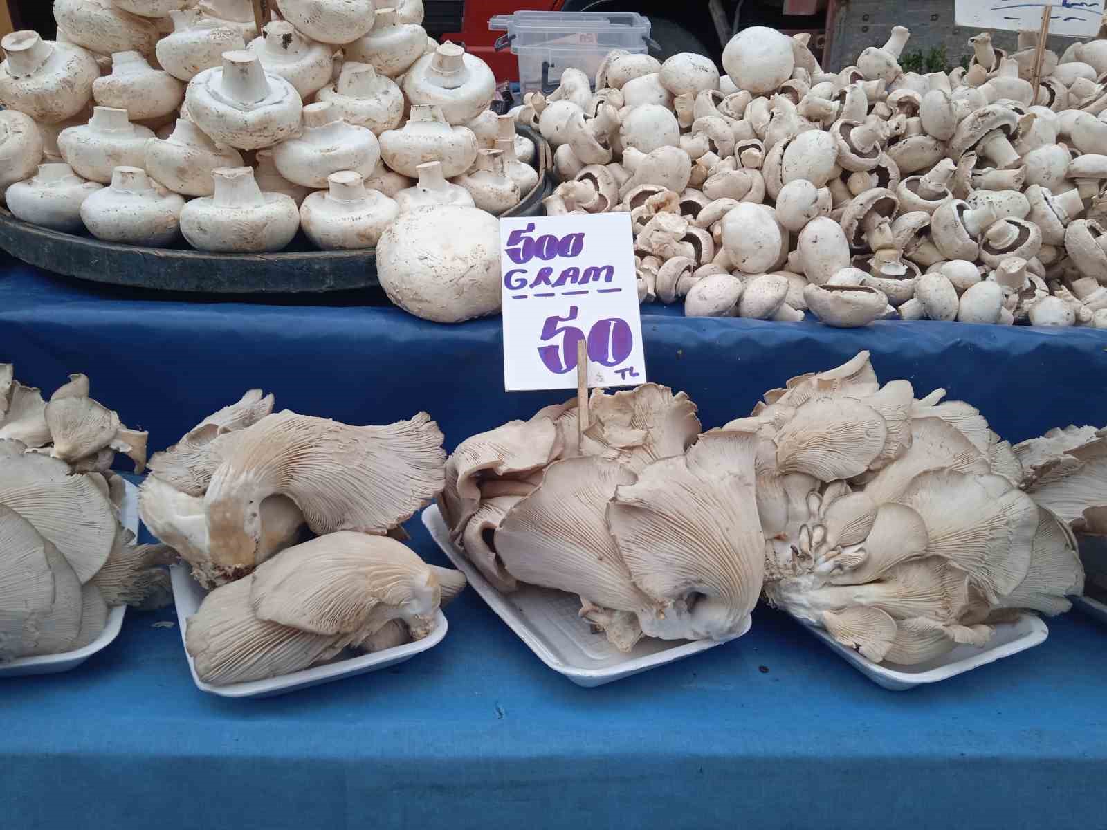 Çeşit çeşit mantarlar pazar tezgâhını beyaza bürüdü İhlas Haber Ajansı