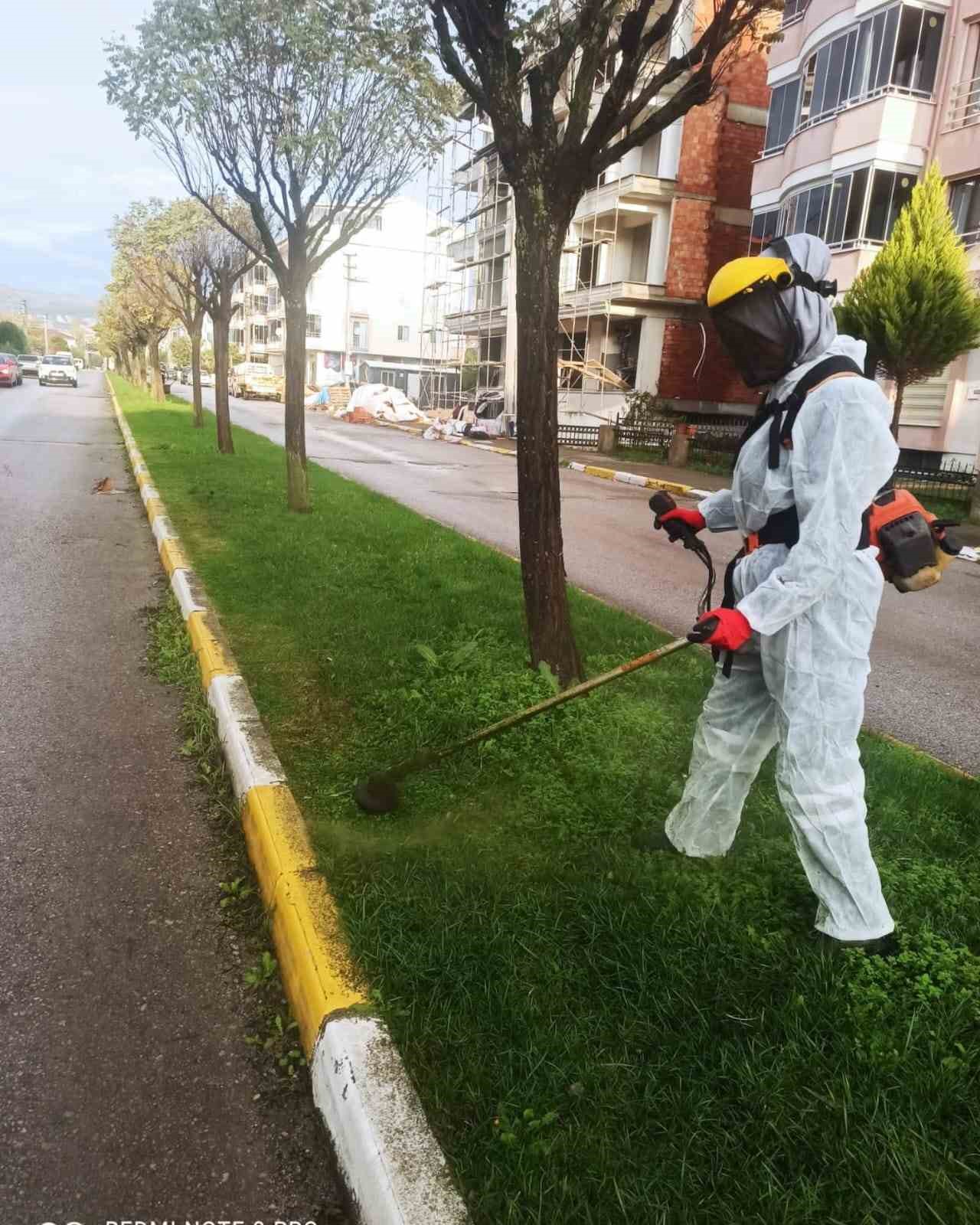 Karesi Belediyesi’nden milyonlarca metrekarede ot temizliği