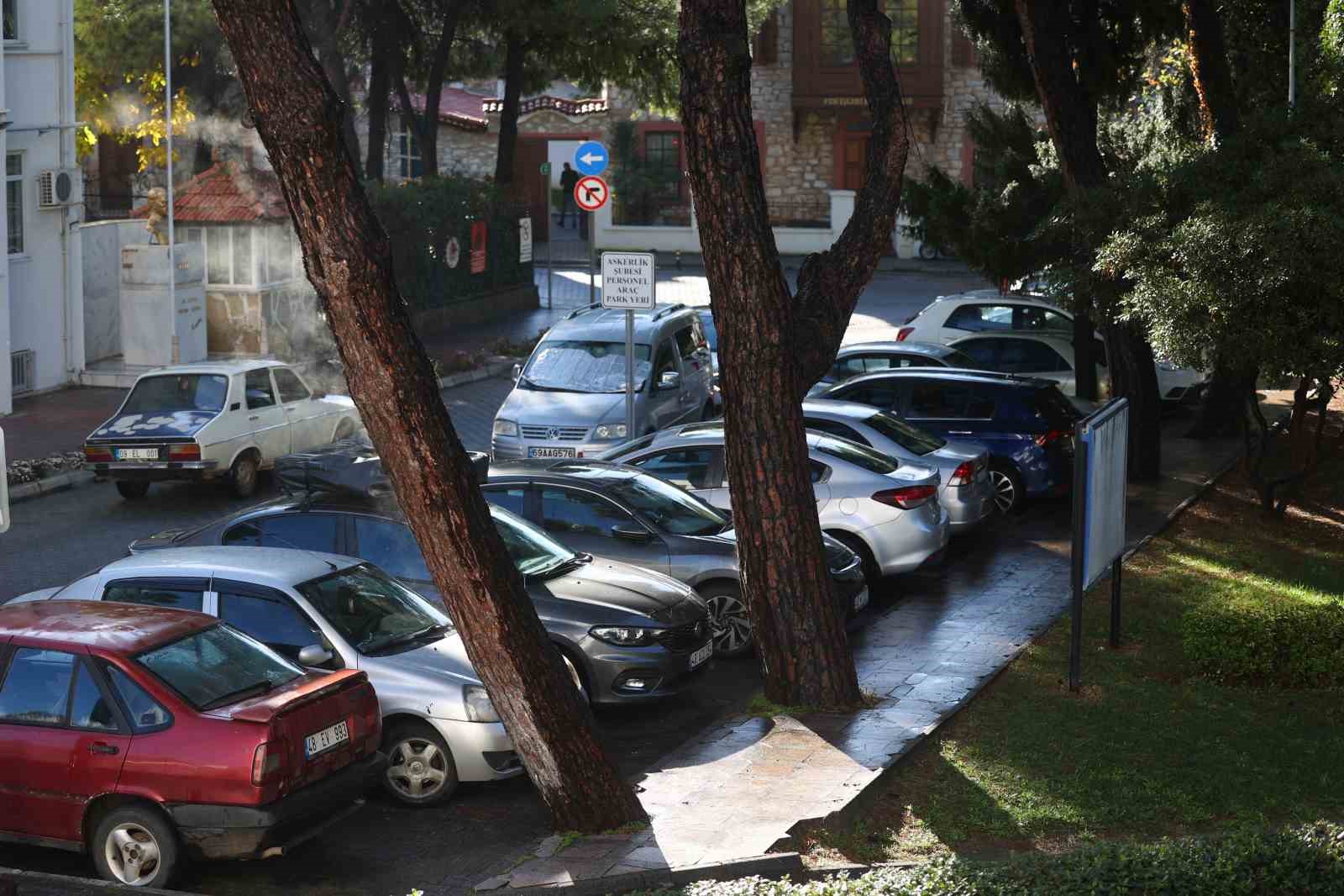 Yağmur yağdı, ağaçtan buhar çıktı