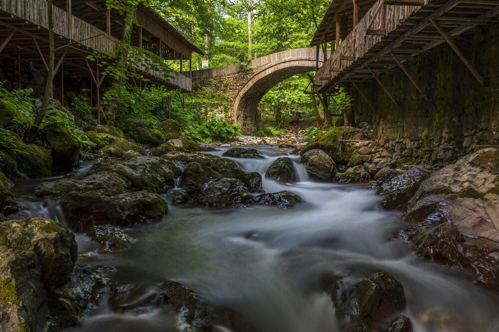 400 fotoğraf tutkunun katıldığı yarışmada kazanan belli oldu
