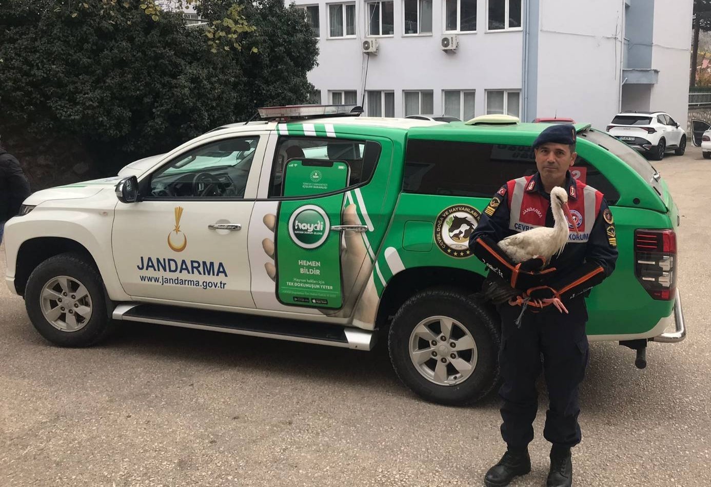 Amasya’da yaralı leyleğe jandarma şefkati