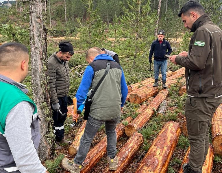 Hisarcık&rsquo;ta ormandaki ağa&ccedil;lara barkod uygulaması
