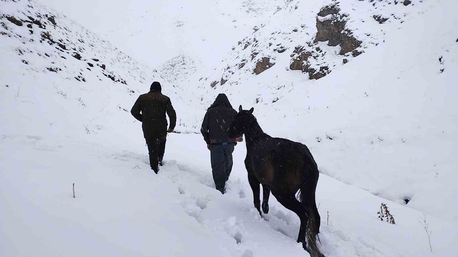 Hakkari&rsquo;de toynağı kopan at kurtarıldı
