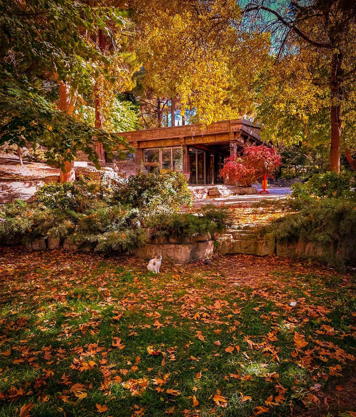 &lsquo;Bor&rsquo;da Sonbahar&rsquo; temalı fotoğraf  yarışması sonu&ccedil;landı
