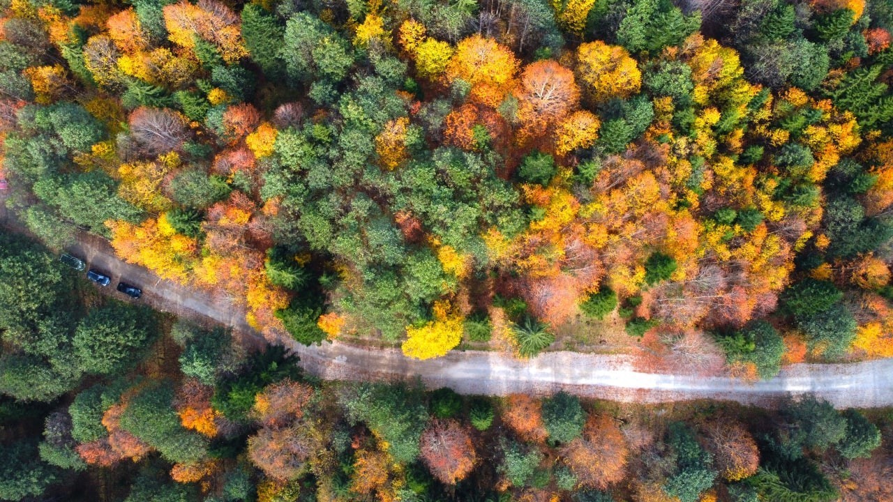 Artvin’in Karagöllerine ziyaretçi akını