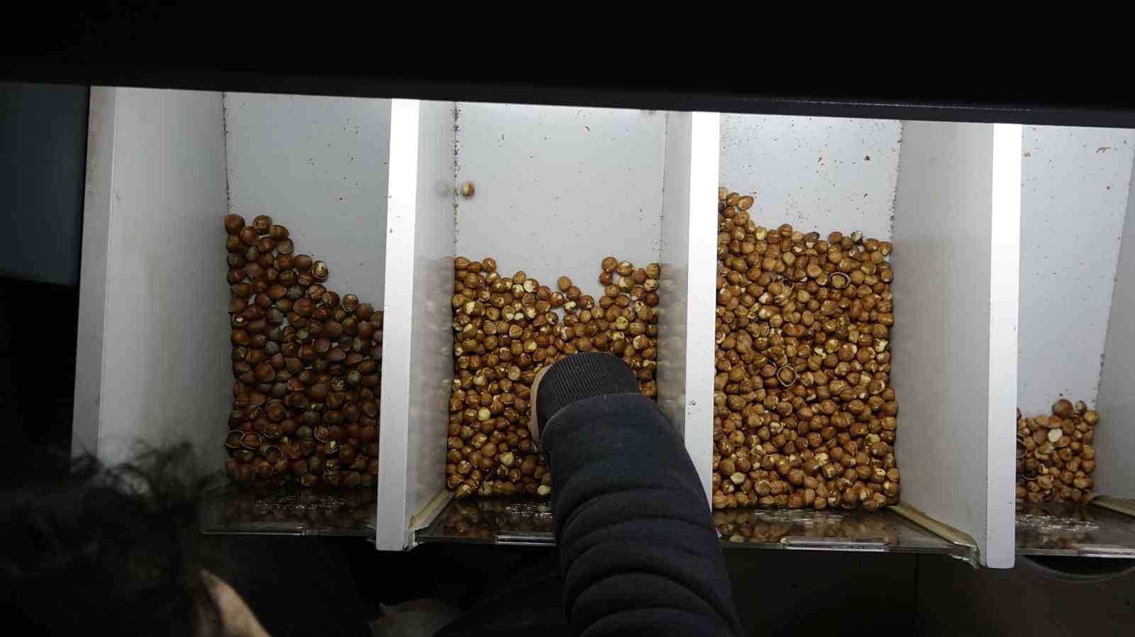 Dereköylü: "Fındık bölgesiyiz ancak halkımız fındığın randımanı hakkında yeterli bilgiye sahip değil"