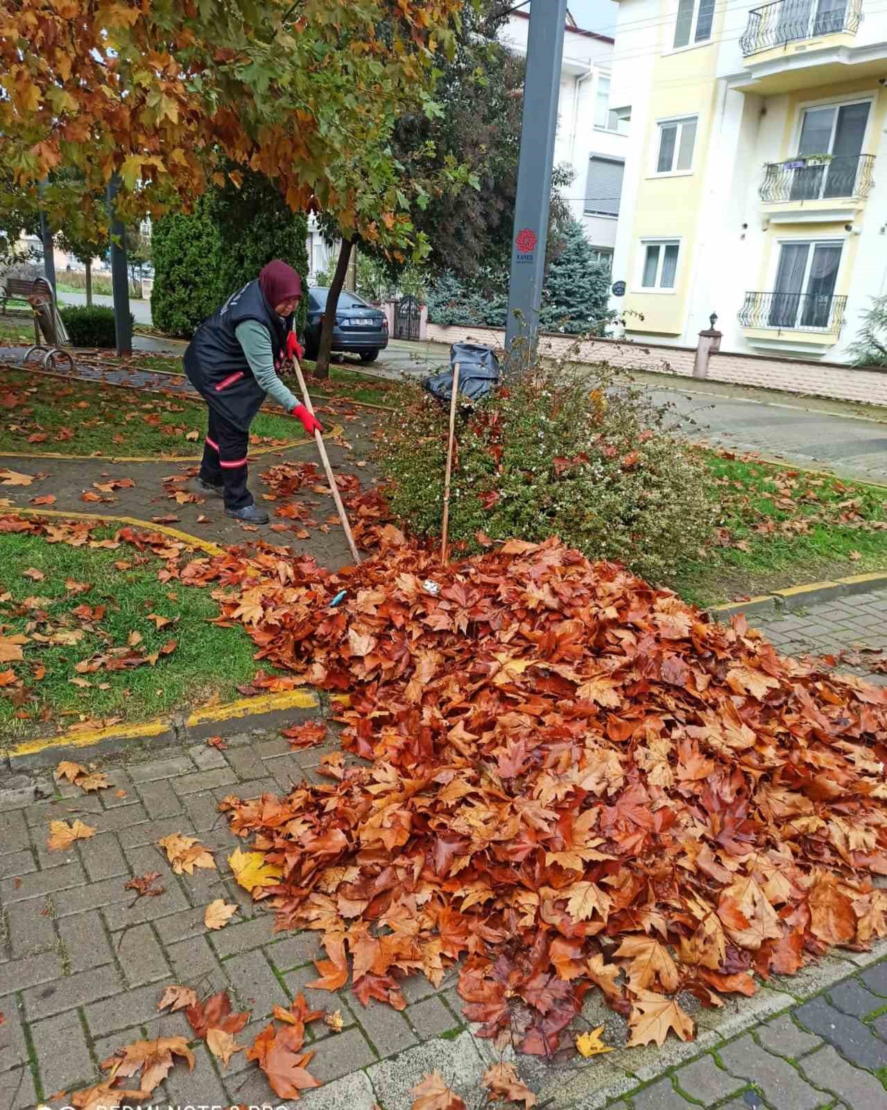 Karesi&rsquo;de kış hazırlığı
