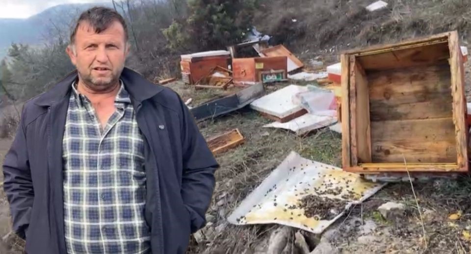 Emet’te ayılar 36 kovanı parçaladı, arılar telef oldu