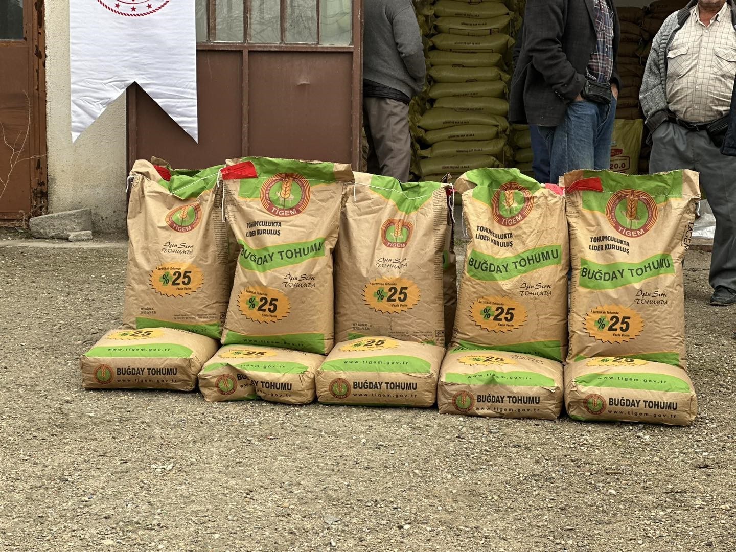 Emet’te 91 çiftçiye yüzde 50 hibeli 16 ton 600 kilo buğday tohumu dağıtıldı