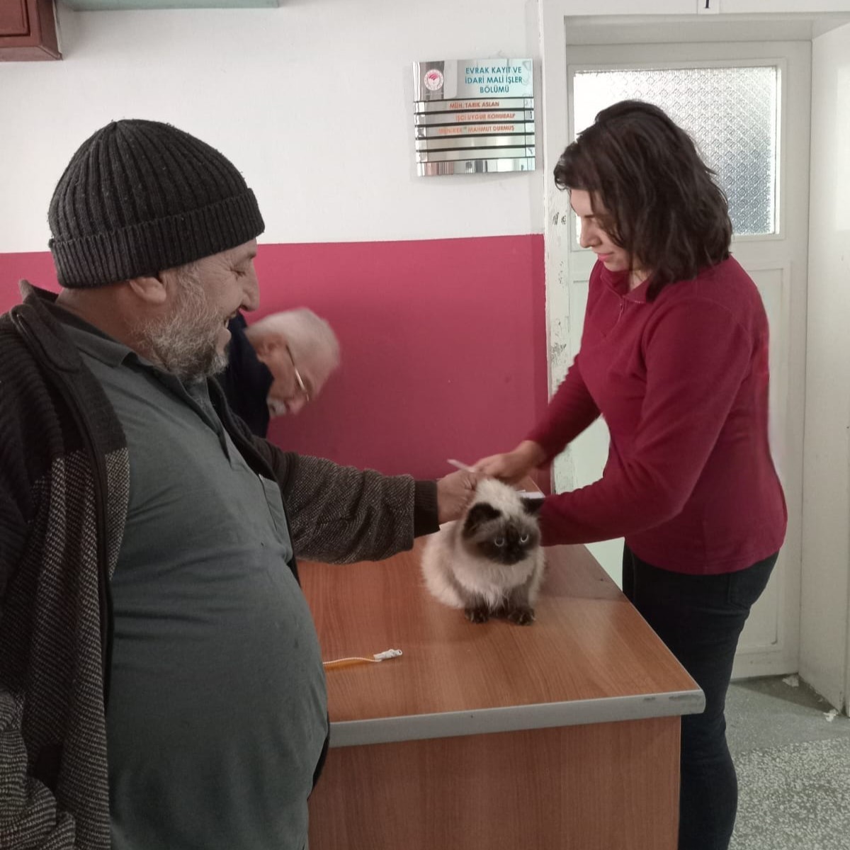 Babaeski&rsquo;de kedi, k&ouml;pek ve gelincikler kayıt altına alınıyor
