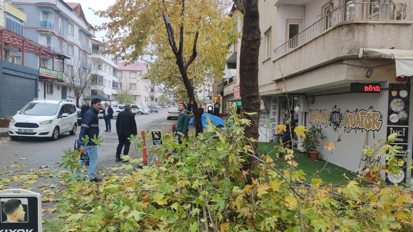 Bing&ouml;l&rsquo;de ağa&ccedil;lar budanıyor
