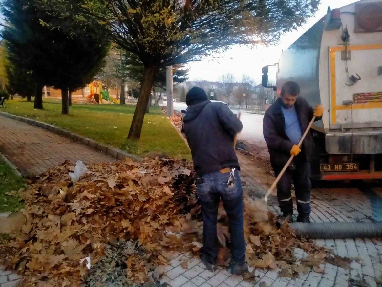Dökülen yapraklar titizlikle toplanıyor