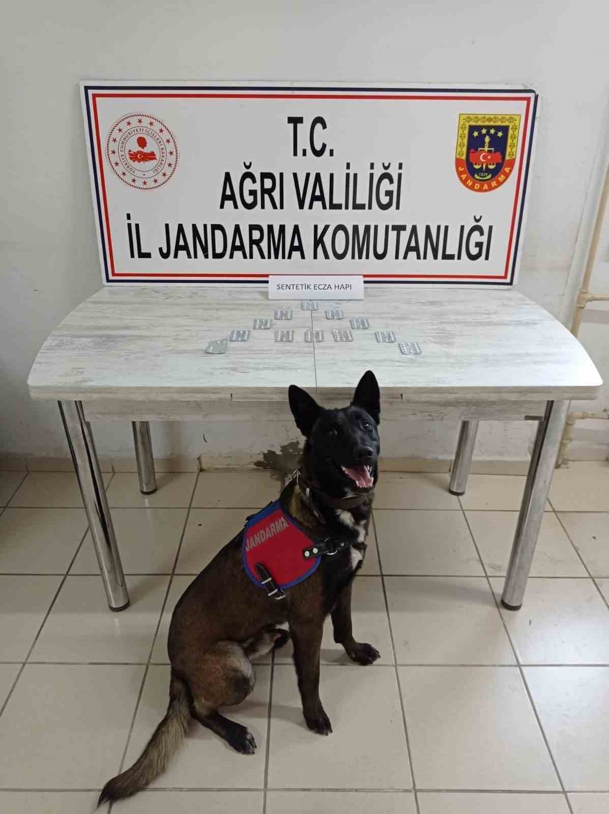 Ağrı’da yolcu otobüsünde uyuşturucu operasyonu: 1 gözaltı