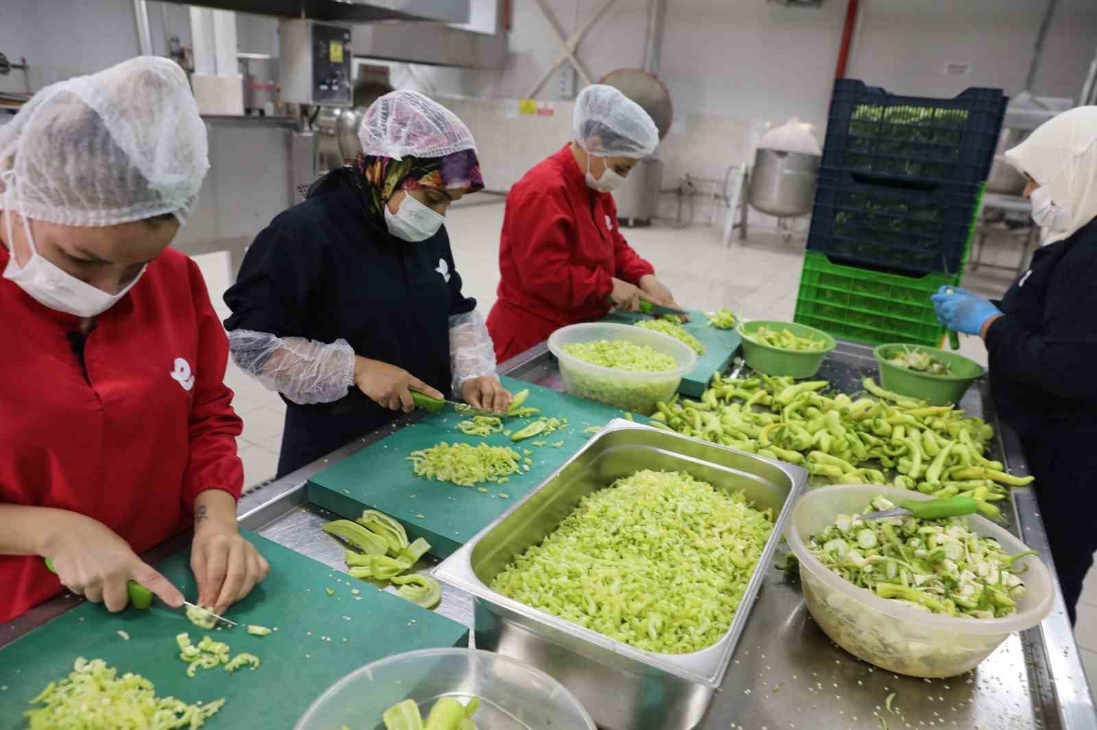 Sadece kadınların çalıştığı Efeler’in fabrikası, Türkiye’ye örnek oluyor