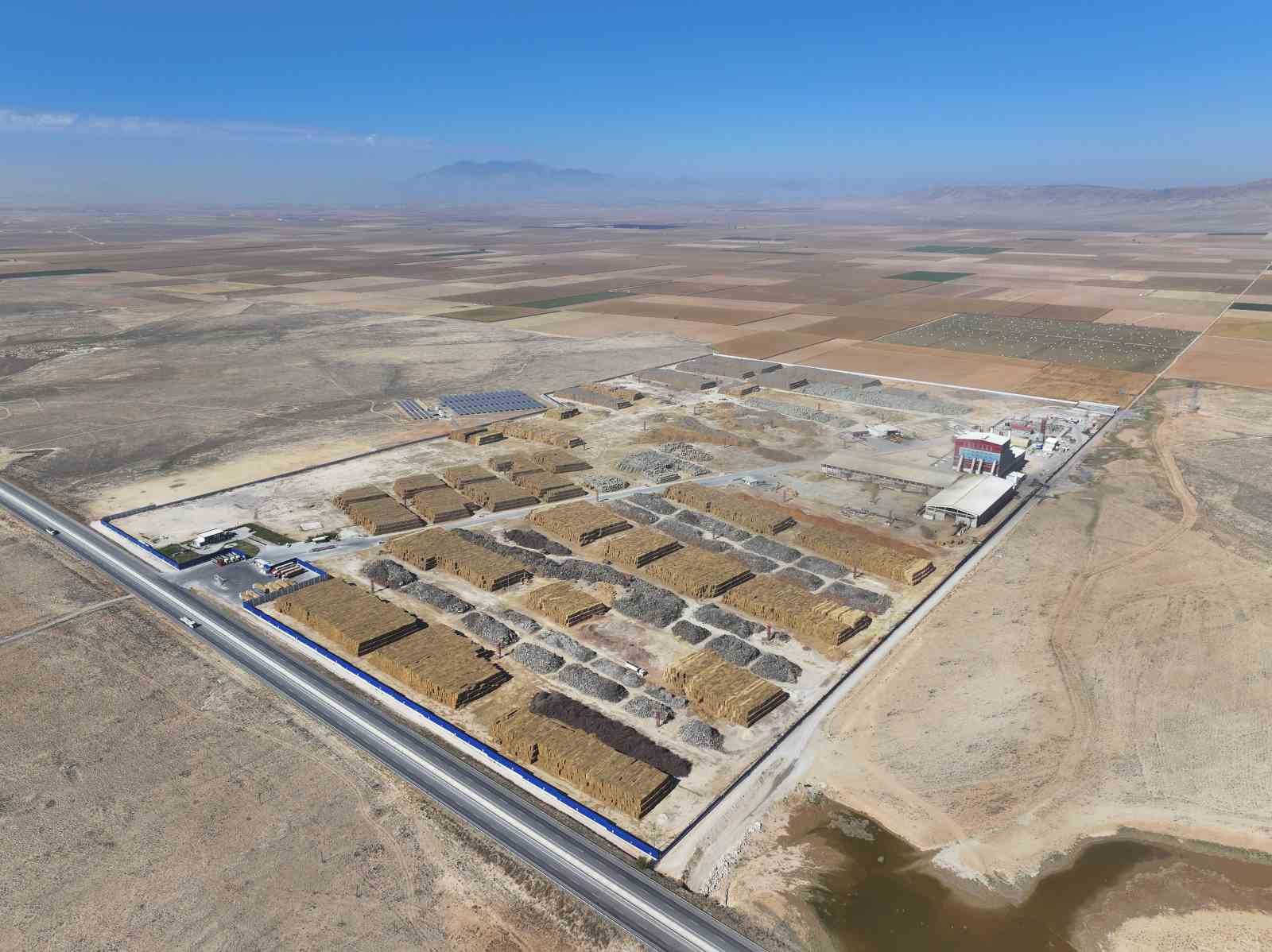 Oltan Köleoğlu Enerji'ye BES dalında brincilik ödülü