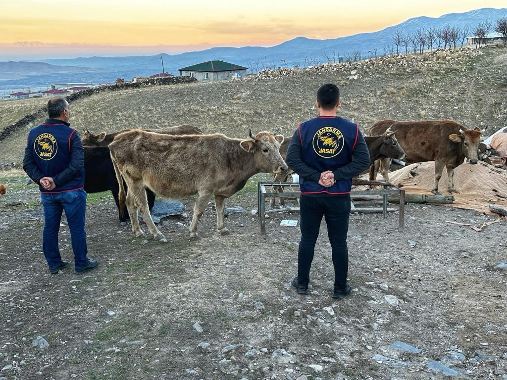 Iğdır’da çalınan hayvanlar bulunarak sahibine teslim edildi