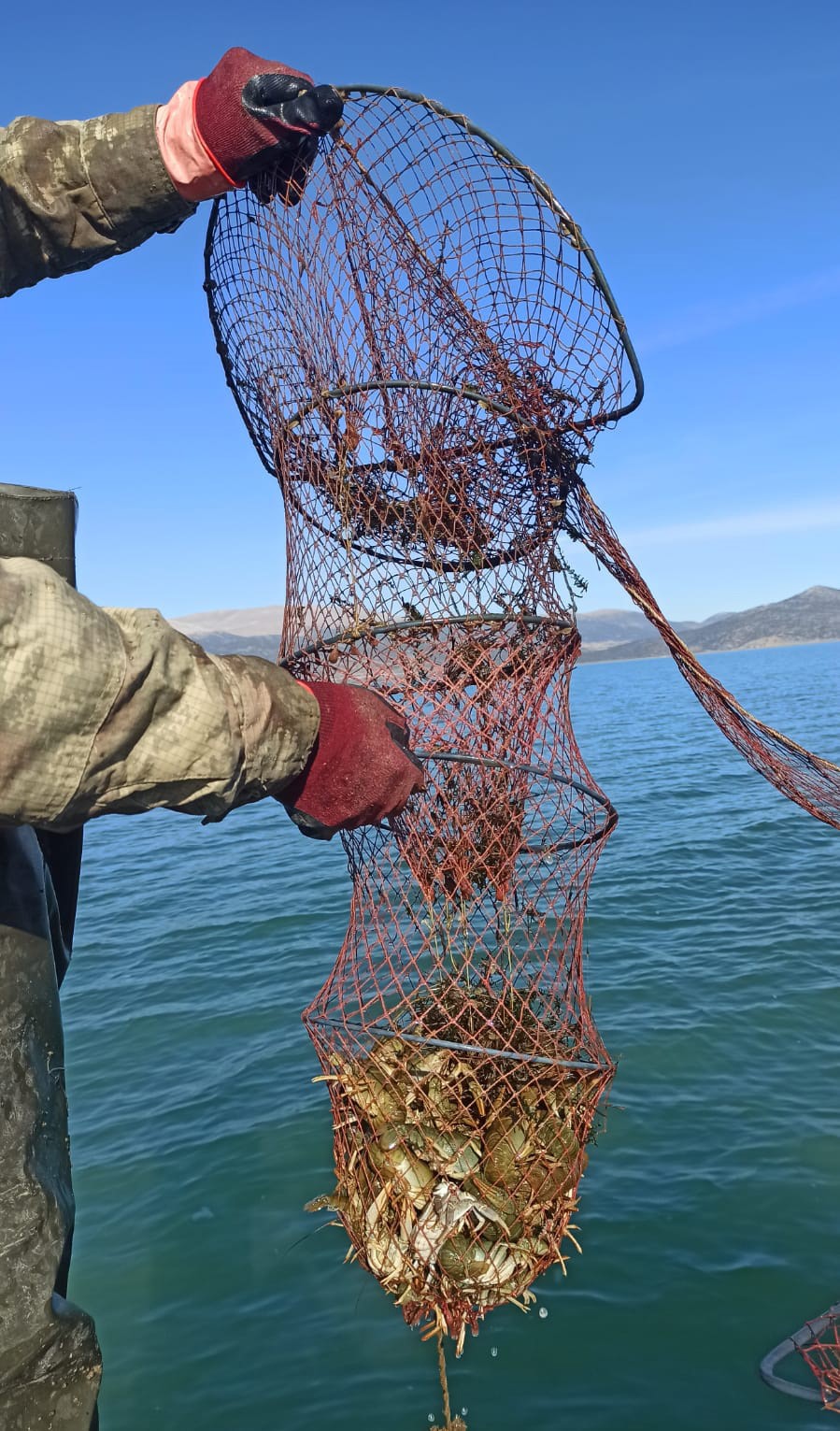 Eğirdir Gölü’nde 200 adet sahipsiz kerevit pinteri ele geçirildi