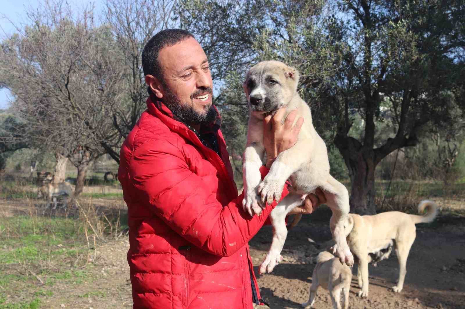 K&ouml;pek saldırıları i&ccedil;in uzmanı uyardı: &ldquo;Ka&ccedil;mayın, g&ouml;z teması kurmayın&rdquo;
