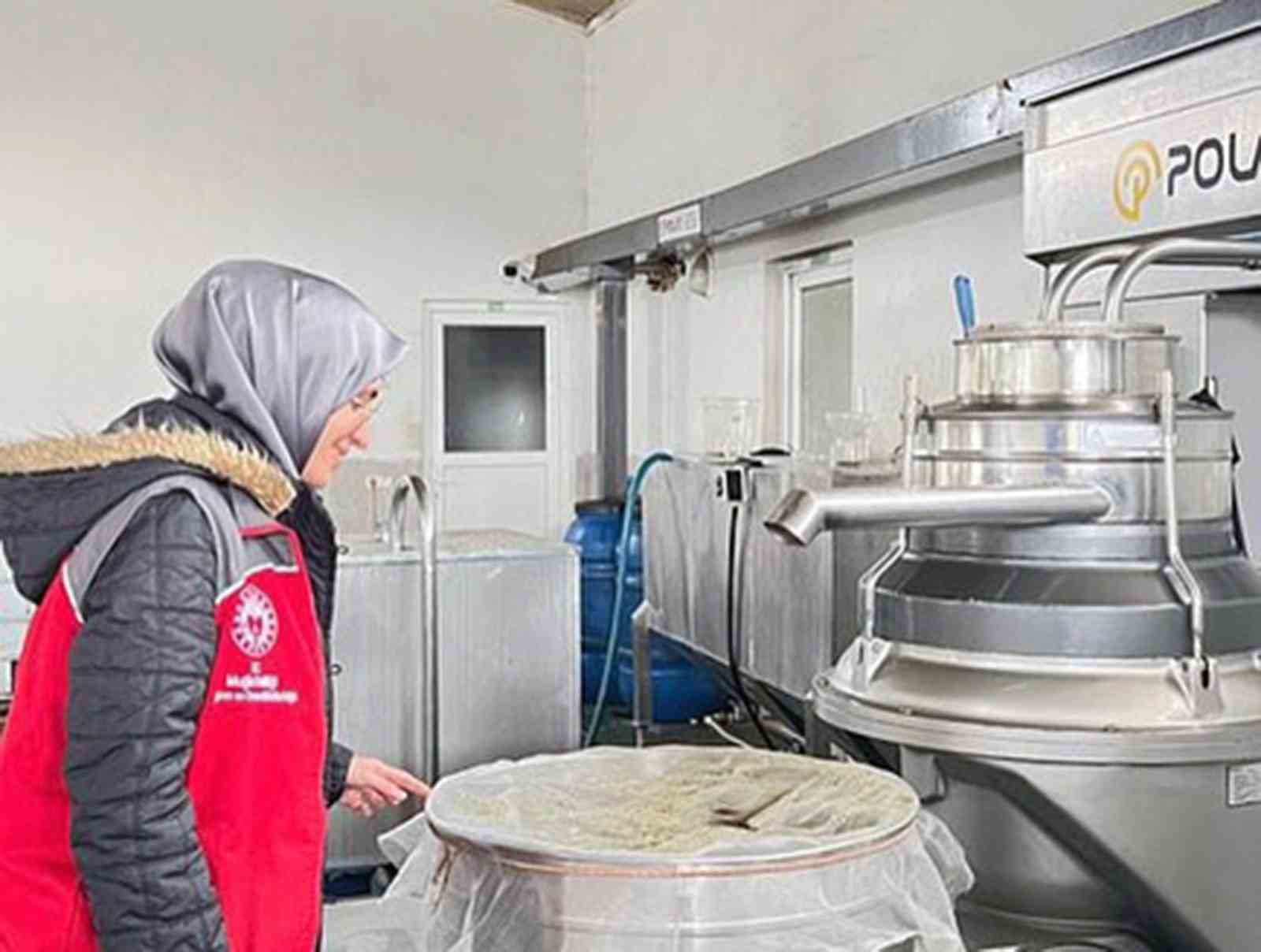 Muğla Tarım Müdürlüklerinden zeytin ve zeytinyağı denetimi