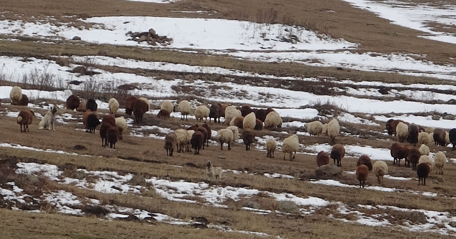 Sıcak hava &ccedil;ift&ccedil;ilere yaradı
