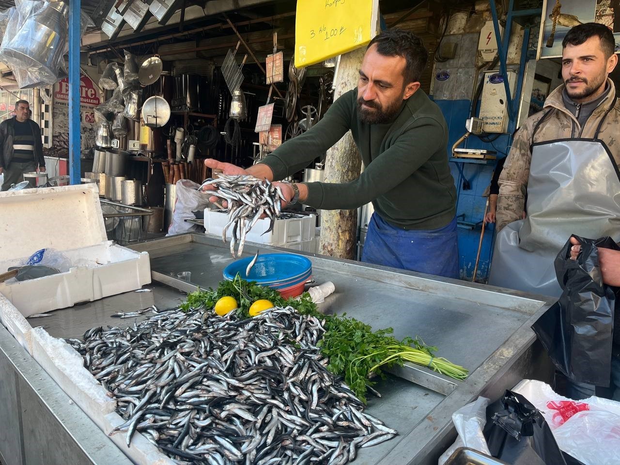 Kilis’te balık tezgahlarını Karadeniz hamsisi süslüyor