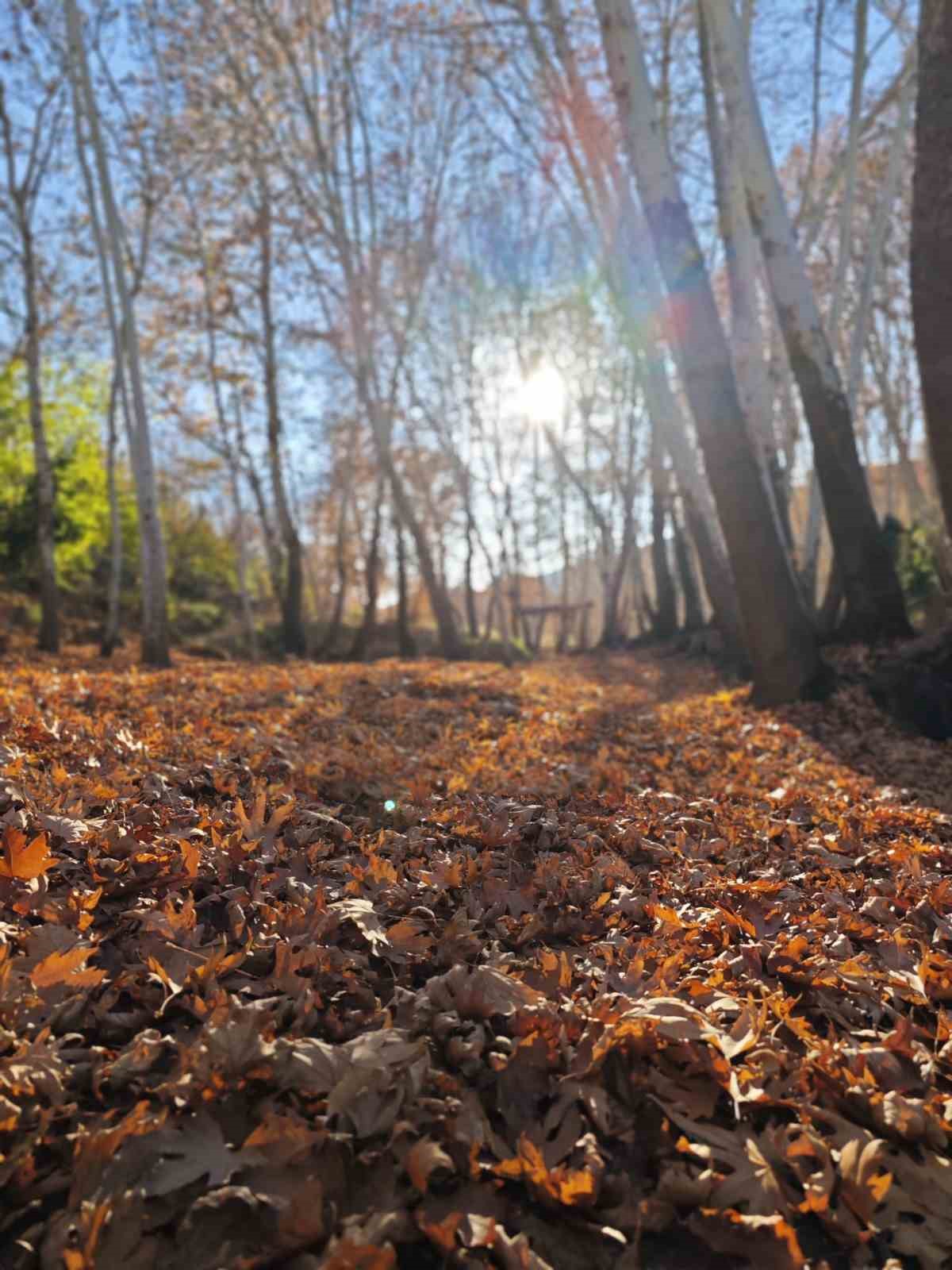 Mardin&rsquo;de iki dağ arasındaki Yardere, g&ouml;rsel ş&ouml;len sunuyor
