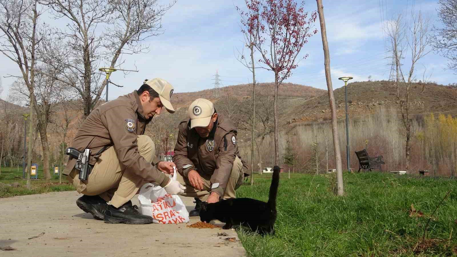 Bingöl’de HAYDİ ekipleri can dostları unutmuyor