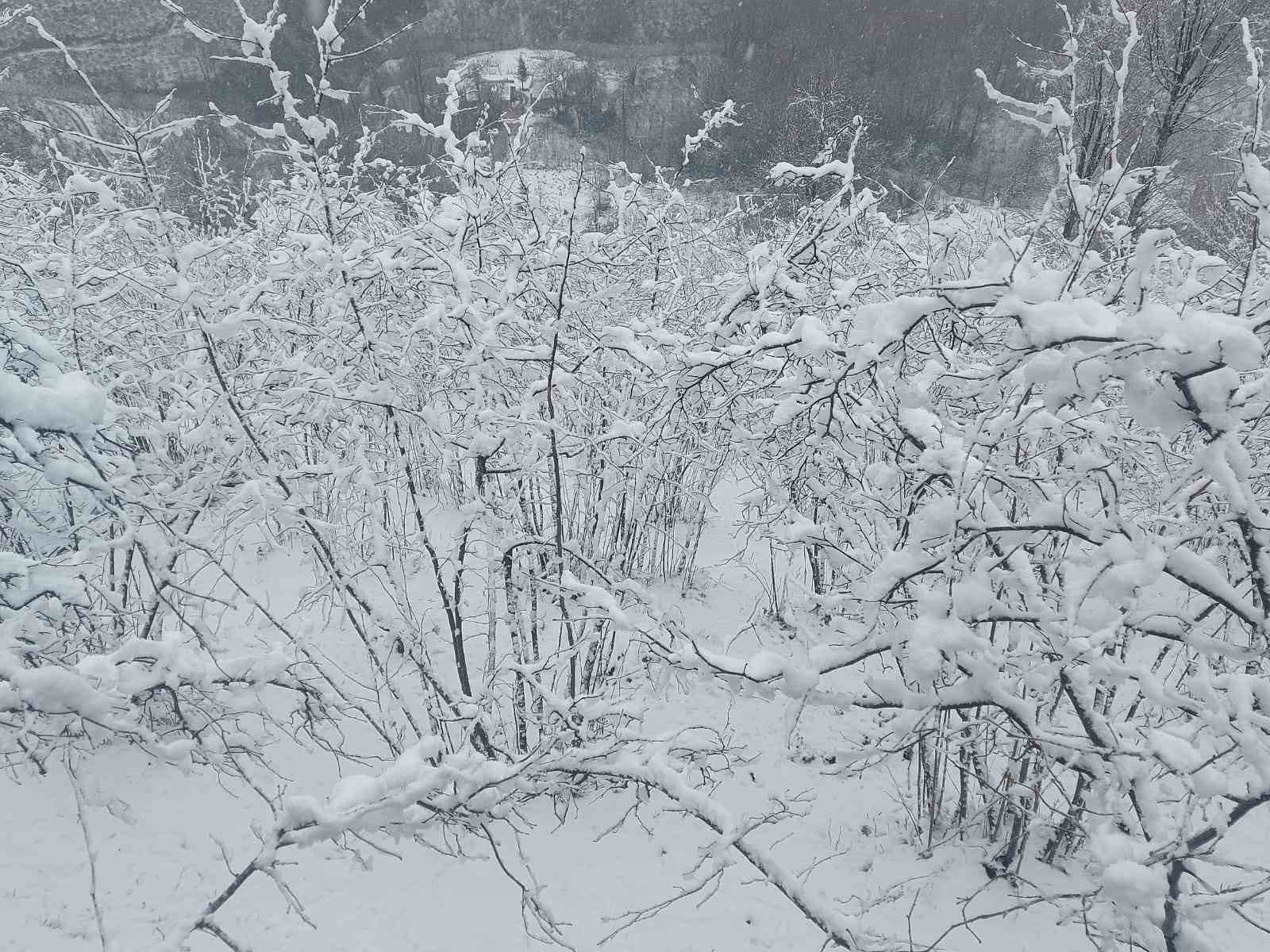 Ordu&rsquo;nun y&uuml;ksek kesimlerinde kar yağışı etkili oldu
