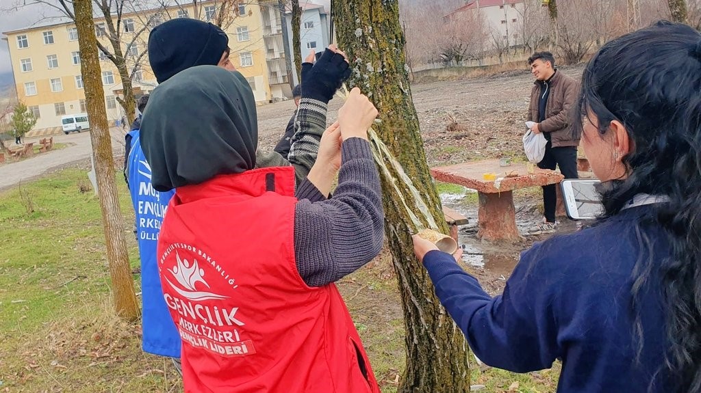 Gençler sokak hayvanları için doğaya mama ve yem bıraktı
