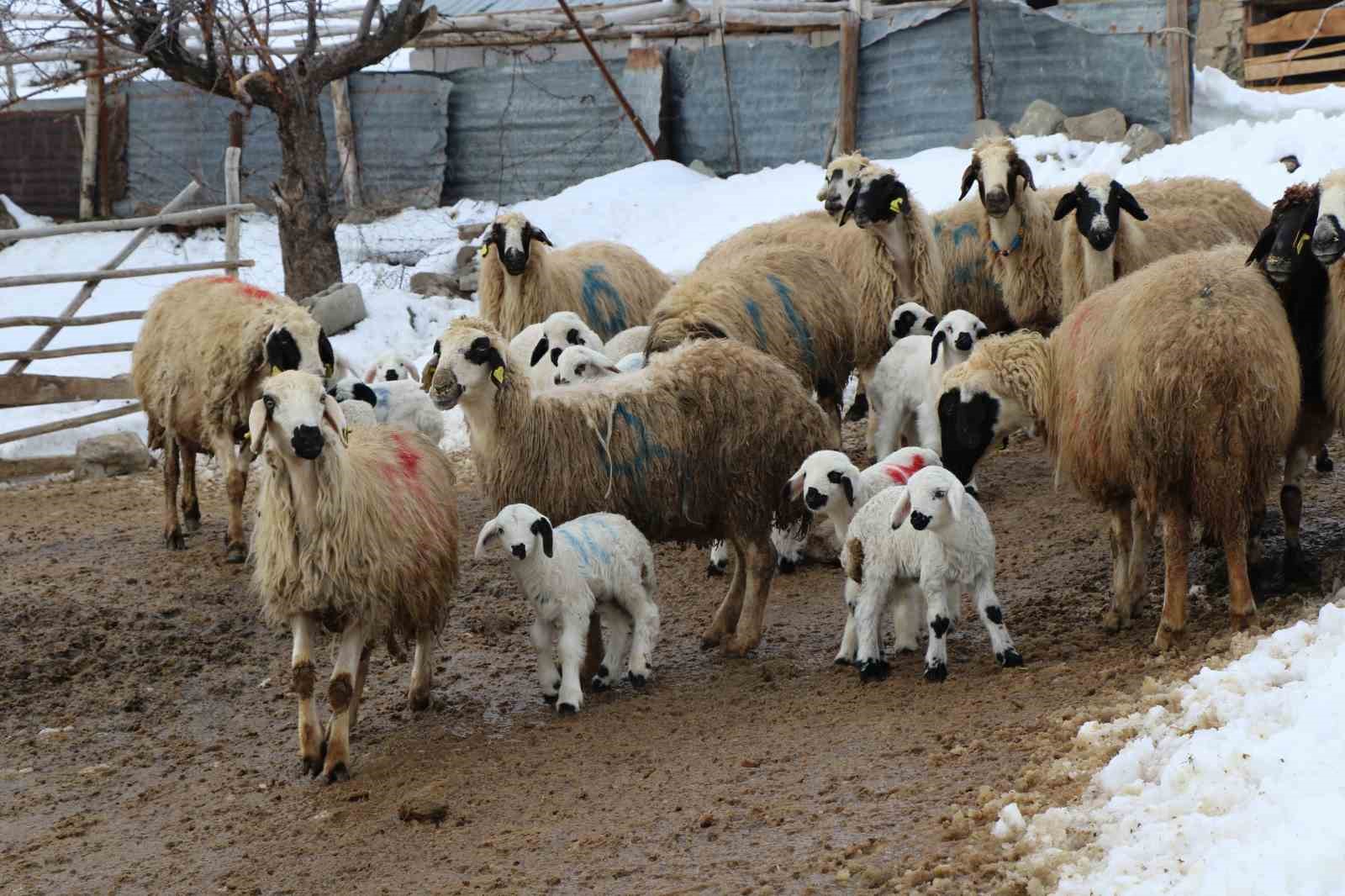 Besicilerin kış mesaisi başladı
