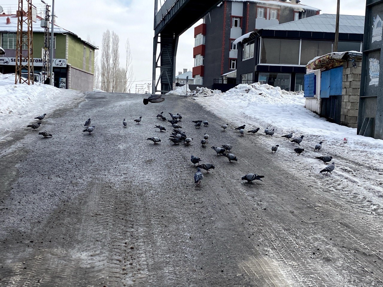 Ağrı’da 86 köy yolu kar nedeniyle ulaşıma kapandı
