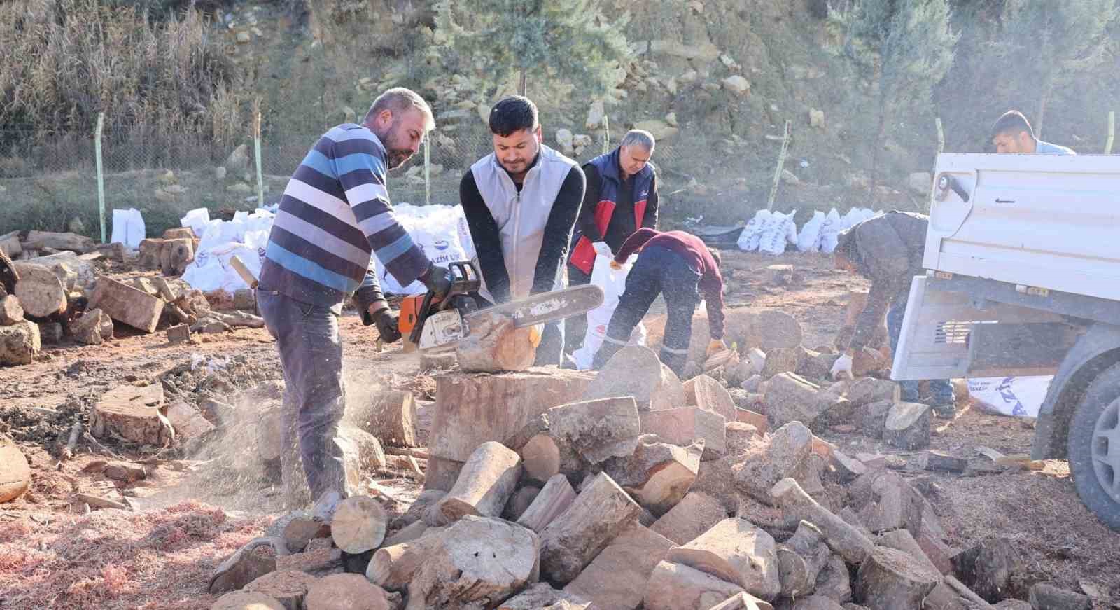 Mersin’de budanan ağaç dalları yakacak olarak dağıtılıyor
