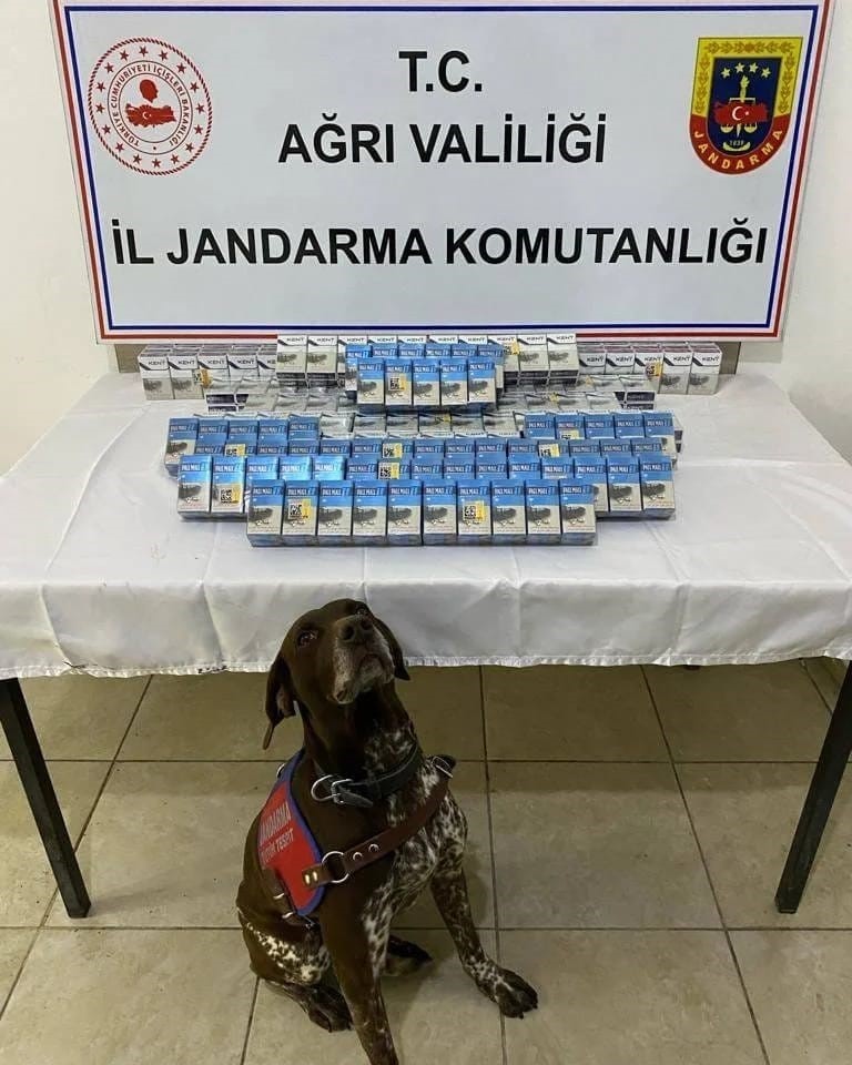 Ağrı’da gümrük kaçağı sigara yakalandı
