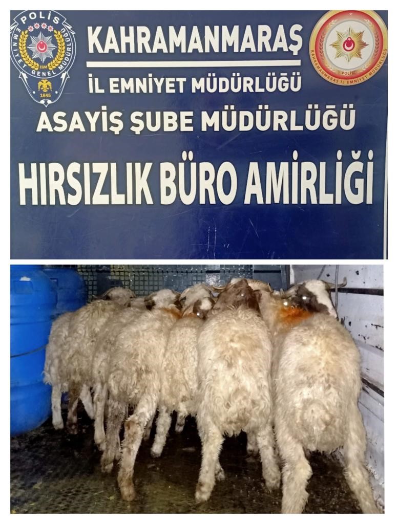 Kahramanmaraş emniyetinden operasyon
