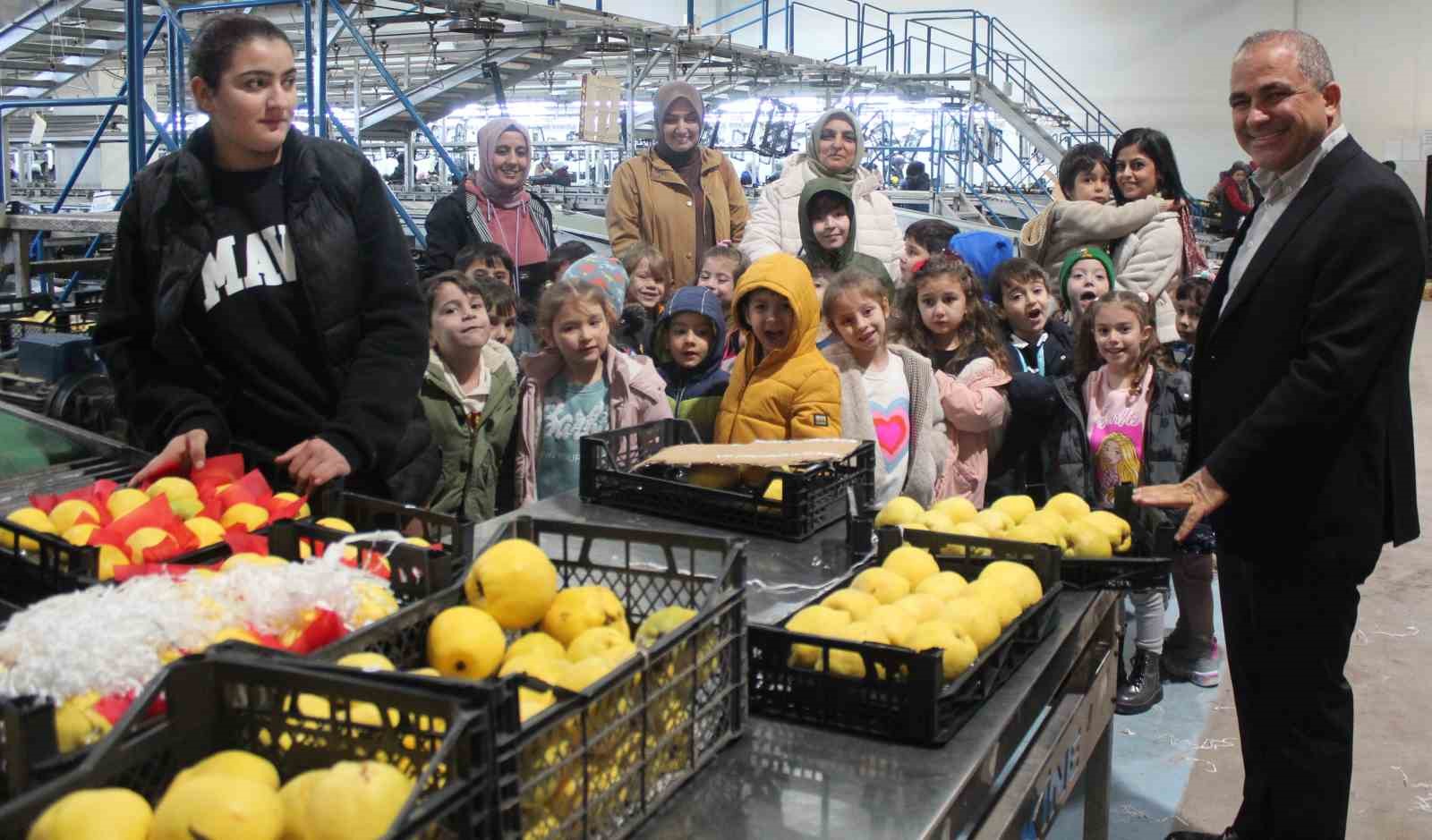 Alaşehirli öğrencilerden yaş meyve sebze işletmesine ziyaret
