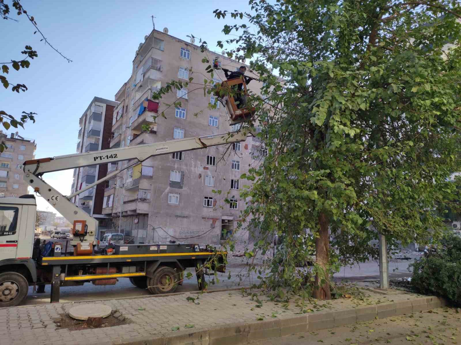 Bağlar’da görüntü kirliliği ve bakım ihtiyacı olan ağaçlar budandı