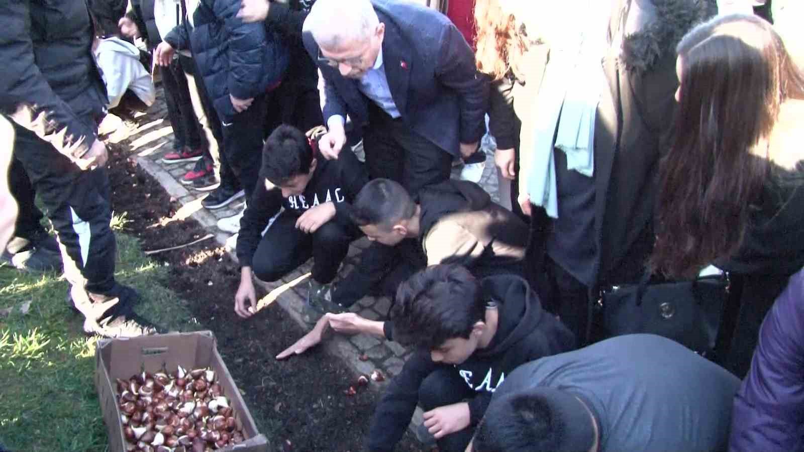 Baharı müjdeleyecek olan laleler, Üsküdar’da toprağa dikildi
