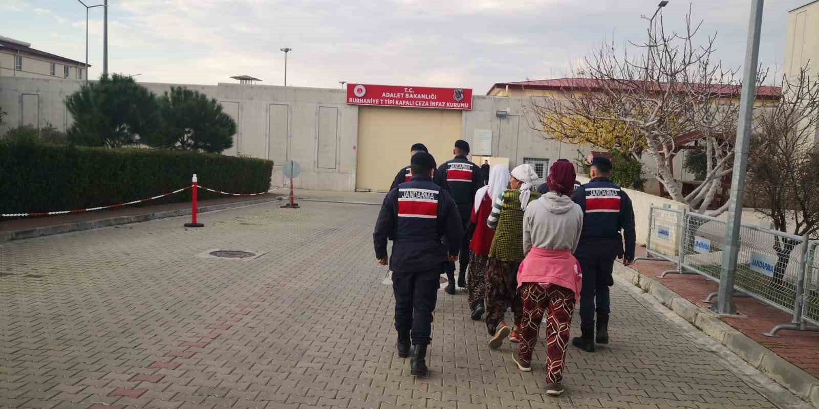 Zeytin hırsızları jandarma tarafından su&ccedil;&uuml;st&uuml; yakalandı
