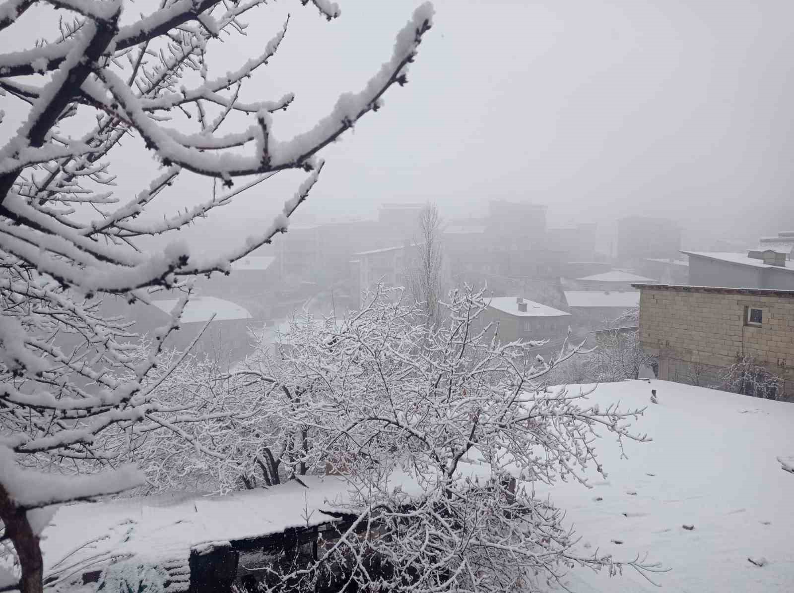 Hakkari&rsquo;de 22 k&ouml;y yolu ulaşıma kapandı
