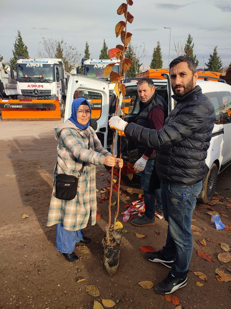 Çiftçilere yüzde 50 hibeli meyve fidanı dağıtımı başladı