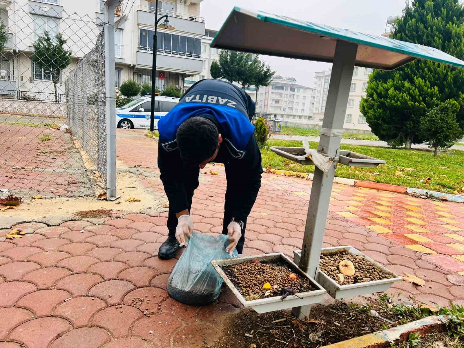 Kilis belediyesi sokak hayvanlarını unutmadı
