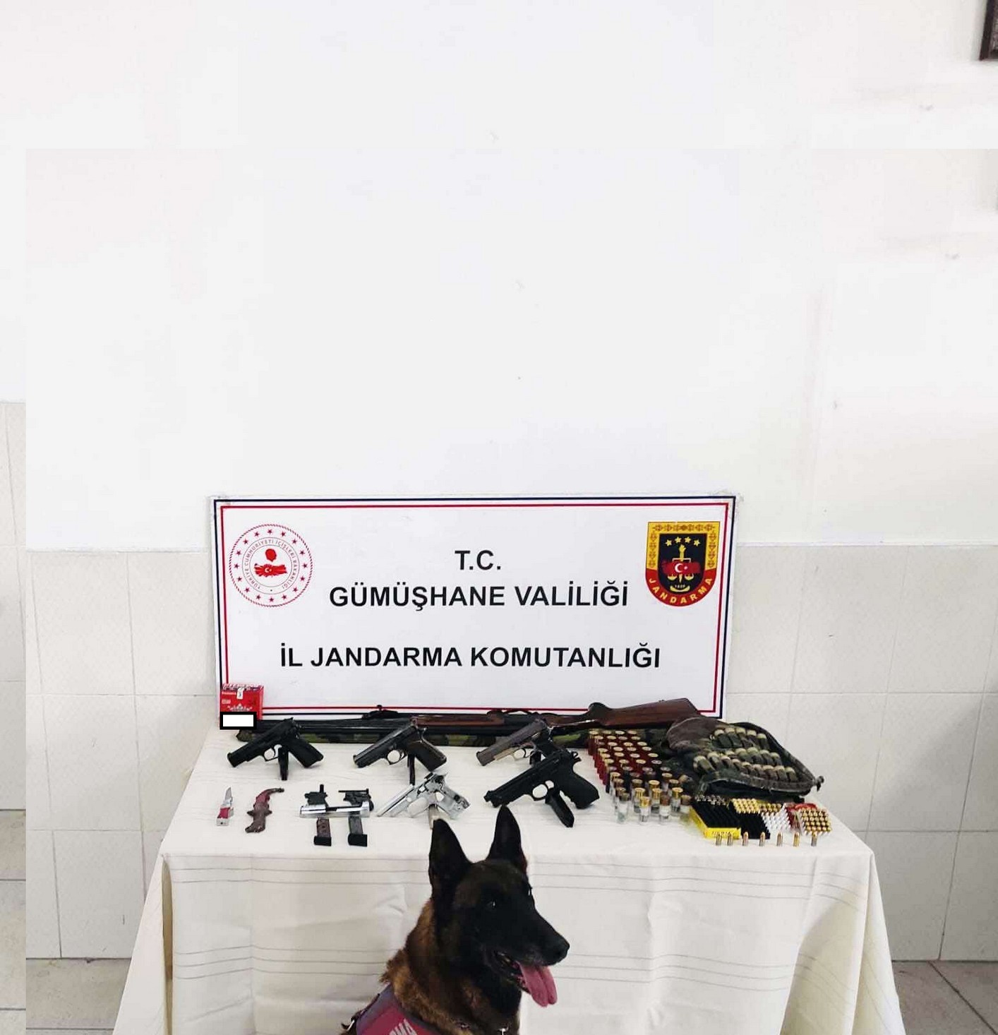 Torul’da kaçak silah operasyonu