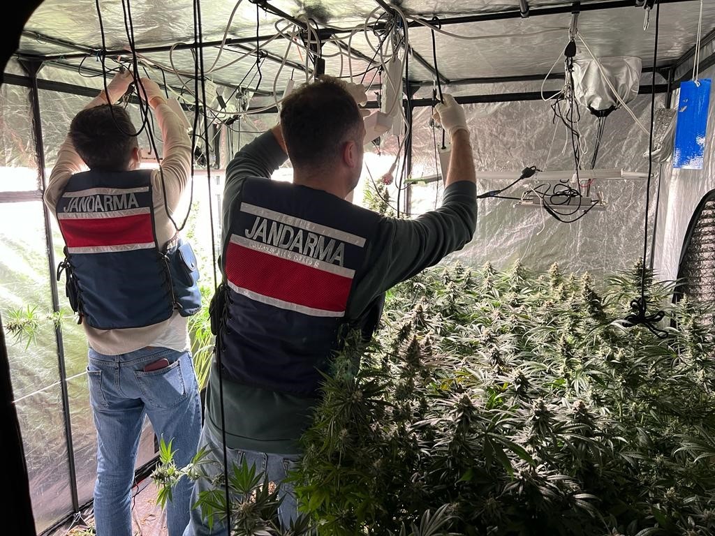 Yalova’da evini uyuşturucu serasına çeviren şahıs gözaltına alındı