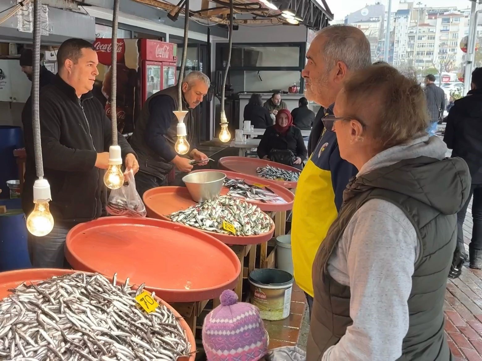 Büyük balık küçük balığı yiyemedi, hamsi bollaştı
