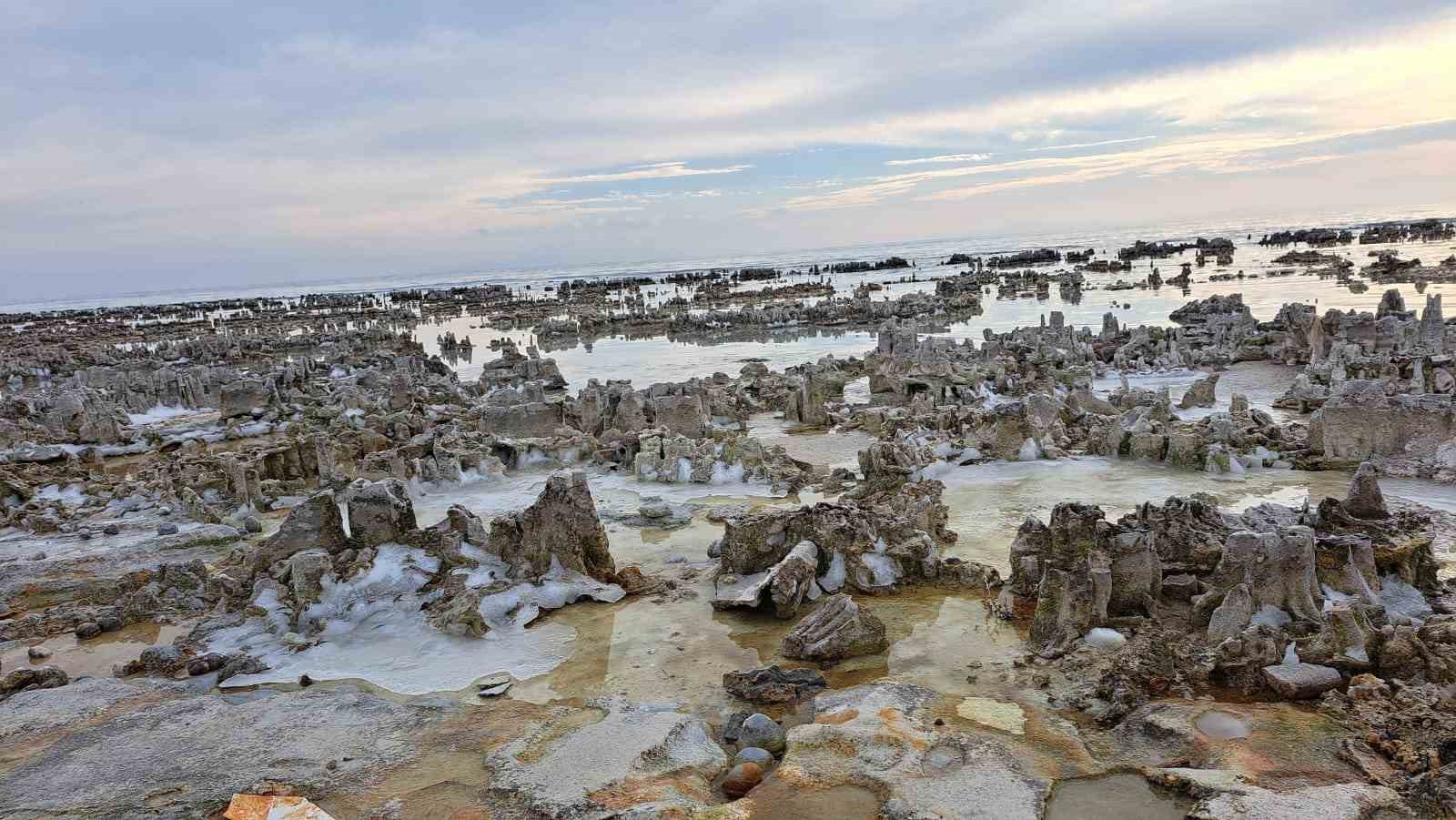 Kuraklık Van Gölü sahilini mikrobiyalit tarlasına dönüştürdü
