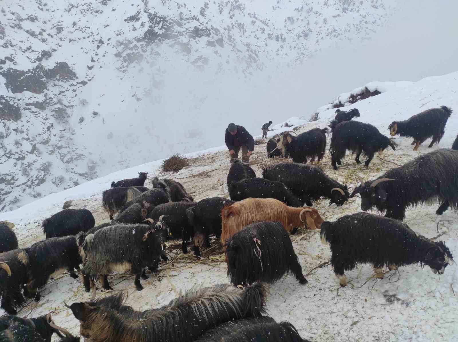 Batman&rsquo;da yağmur, y&uuml;ksek kesimlerde yerini kar yağışına bıraktı
