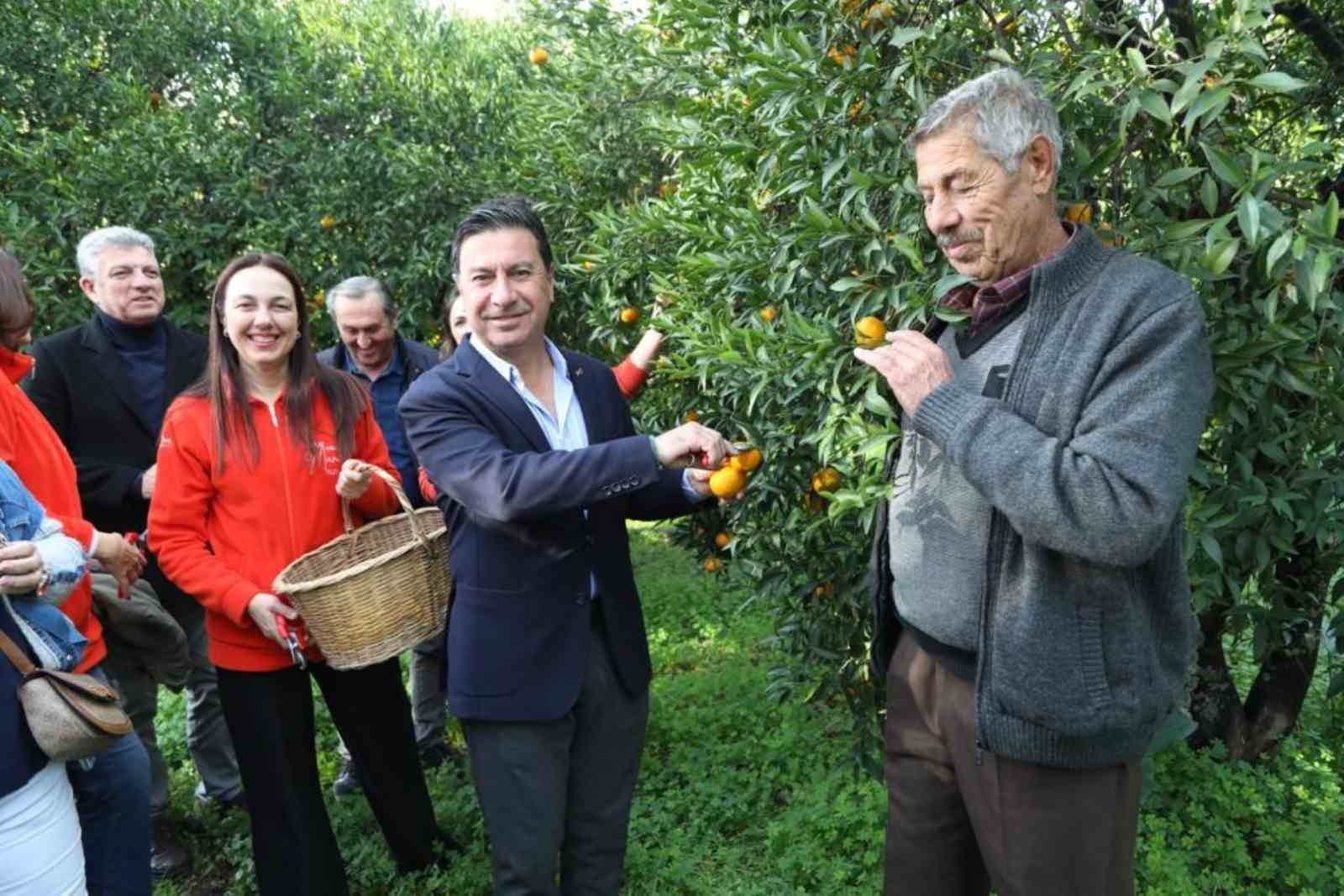 Bodrum Mandalina Festivali buruk geçti
