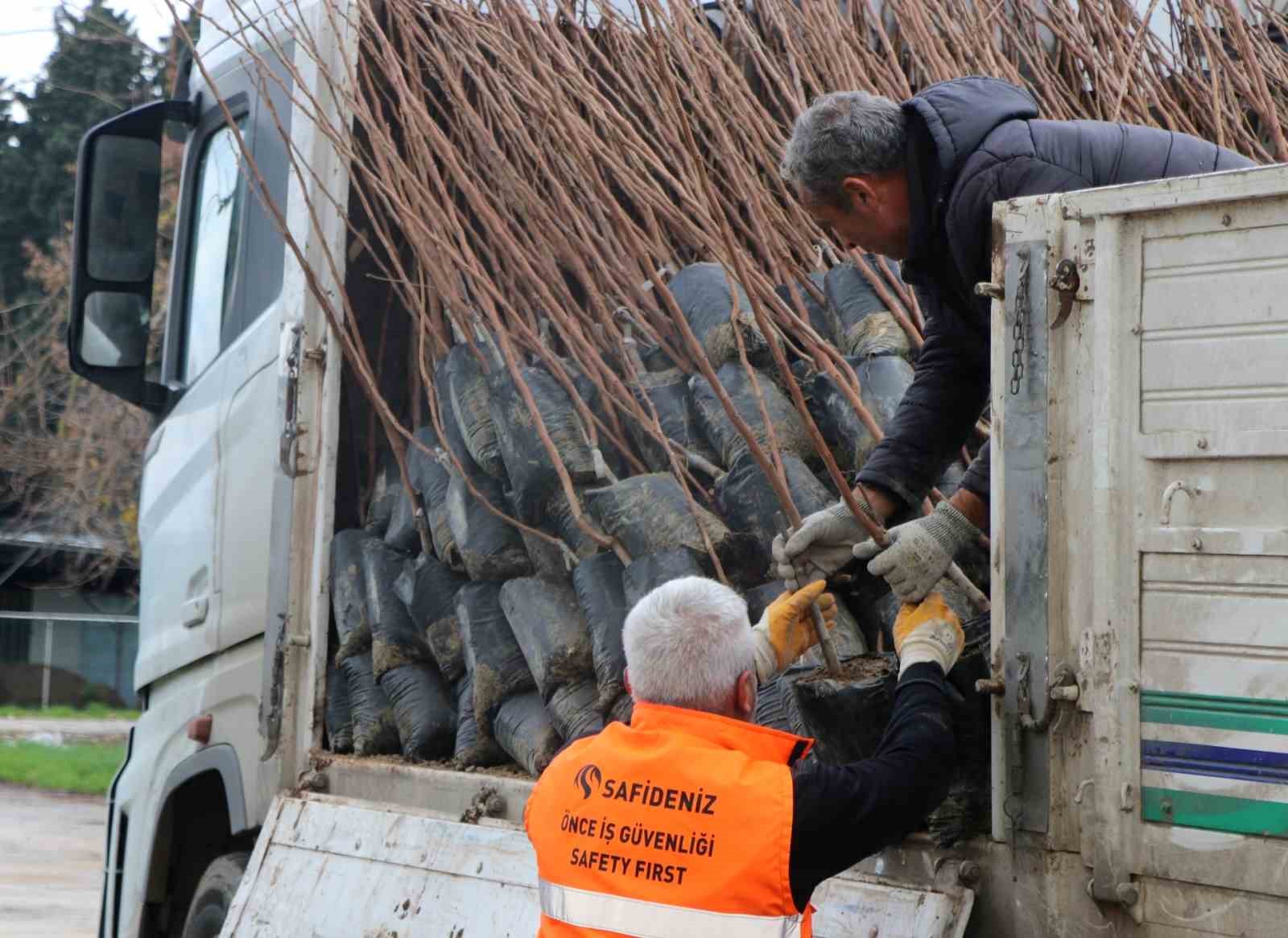 Yalova’da çiftçilere Trabzon hurması ve ceviz fidanı dağıtıldı
