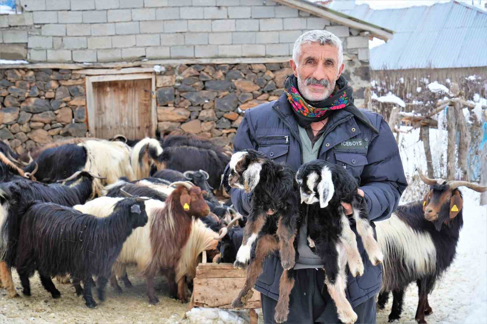 Muş’ta yüksek rakımlı köyler kara gömüldü